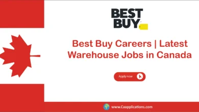 Best Buy Careers