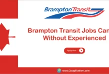 Brampton Transit Jobs