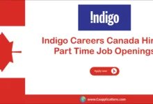 Indigo Careers