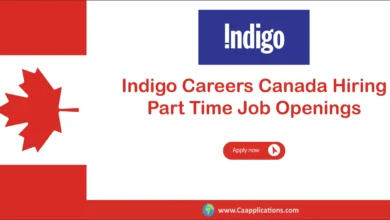 Indigo Careers