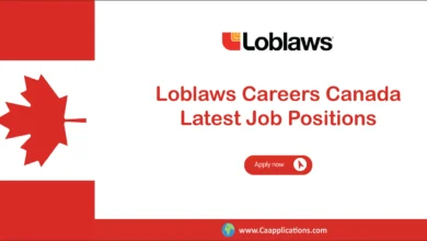 Loblaws Careers