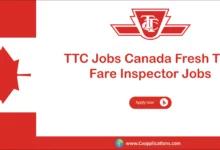 TTC Jobs
