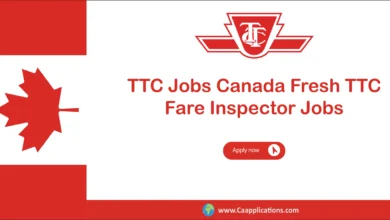 TTC Jobs